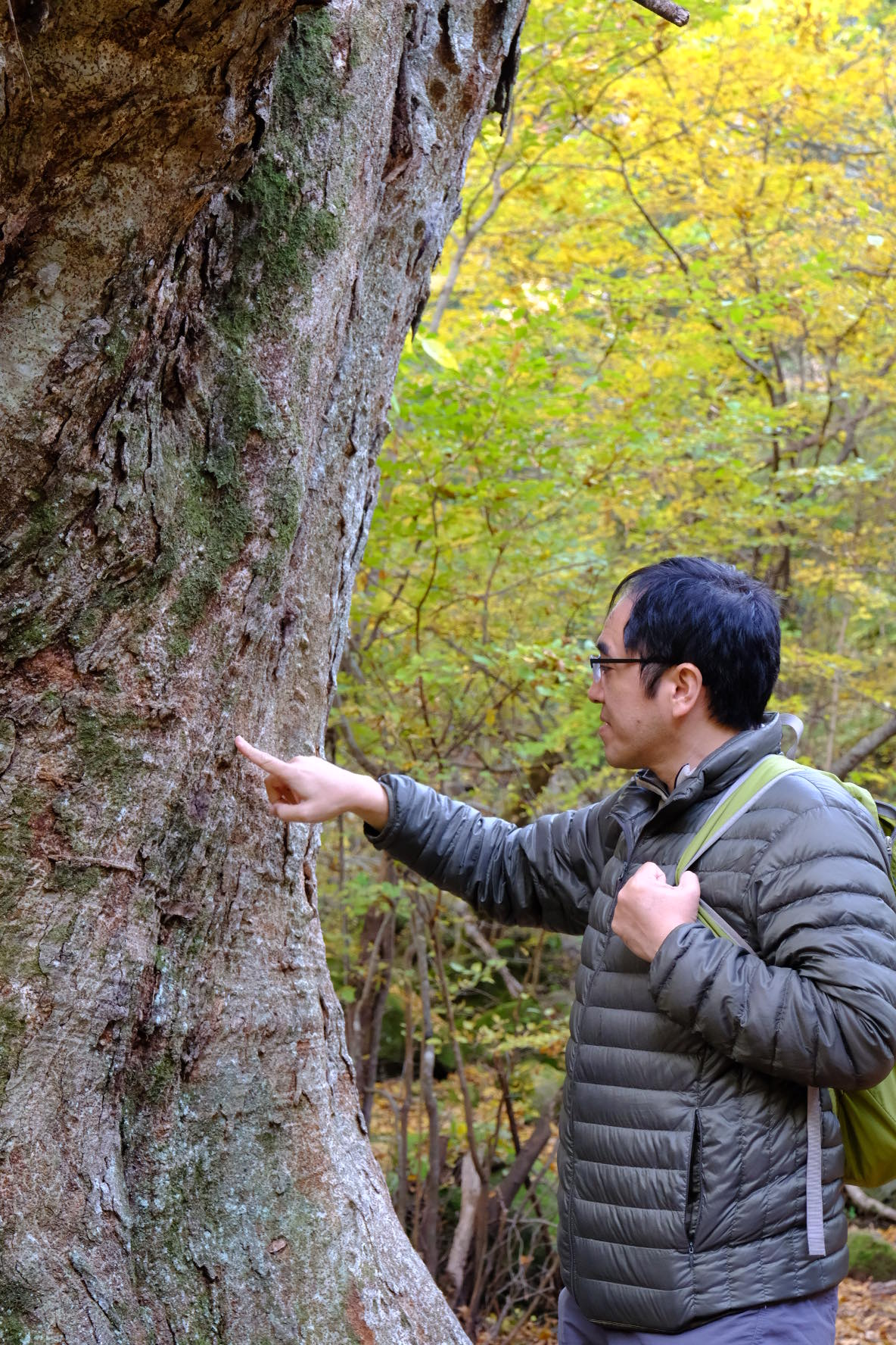 75093793_1018668781799682_2396515111771570176_n