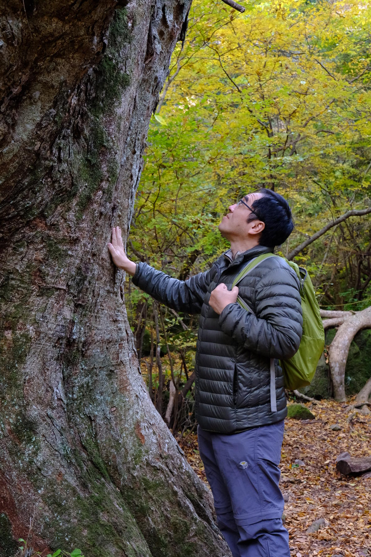 76695217_490087524920046_7638400272791764992_n